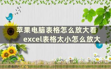 苹果电脑表格怎么放大看 excel表格太小怎么放大